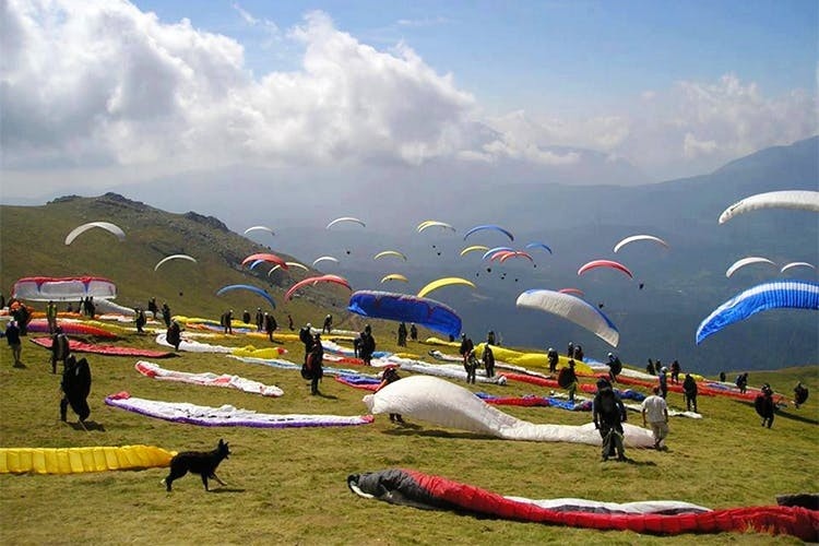 paragliding-at-bir-billing